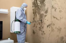 Find out how much mold remediation will cost you. How Much Does Mold Remediation Cost Mold Removal And What You Re Really Paying For