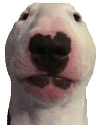 With milo ventimiglia, virginia madsen, neve campbell, leven rambin. Walter Dogelore Wiki Fandom