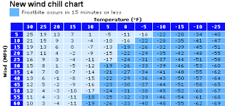 Is There A Reliable Backpackign Thermometer Out There