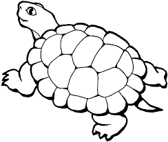 Skip a straw save a turtle coloring page. Coloring Pages Of Turtles Coloring Home
