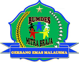 Kelebihan laporan keuangan dengan menggunakan excel adalah pada saldo akan otomatis bertambah jika kolom debet di isi dan otomatis 1buatlah format laporan keuangan seperti gambar dibawah ini: Laporan Keuangan Bumdes Mitra Braja Periode 2017 2020 Excel Desa Malausma