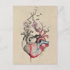 Check spelling or type a new query. Vintage Anatomical Heart Invitations Cards Stationery Zazzle