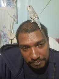 John Dyal Sunthgolam (@SunthgolamJohn)