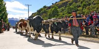 Chile, country situated along the western seaboard of south america. Chiles Kultur Sudamerikanisches Urbanes Und Landliches Flair Erleben
