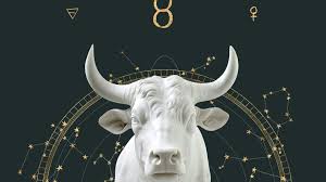 Image result for Zodiac Taurus