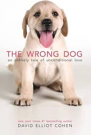 Image result for invalid dog wheelset