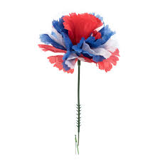Check spelling or type a new query. Red White Blue Carnation Heads With Picks 100 Per Box Fisch Floral Supply