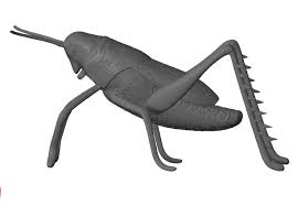 Grasshopper By Rmilushev P Printable 3d Model Of Grasshopper Modeled In 3ds Max 2009 This 3d Model Was 35 Bu 3d Printable Models Print Models 3d Model