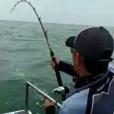 Pin Pa Fishing Malaysia Fishing Guide Fishing Charter
