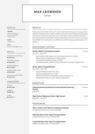 Similar cleaner skills can be observed in the example cover letter displayed below. Driver Resume Examples Writing Tips 2021 Free Guide Resume Io