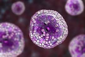 Still, some cancer cells can remain in your body for many years after treatment. Can You Live A Long Life With Cancer
