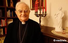 Najbardziej adekwatnym spojrzeniem na medjugorie, jest postrzeganie go jako fenomenu duchowego, który wciąż się rozwija. Abp Hoser Dla Niedzieli Potrzeba Nam Milosci Ojczyzny Na Wzor Bohaterow Bitwy Warszawskiej Niedziela Pl