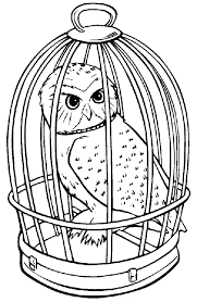 You can use one free printable or all of them for a harry potter party. Harry Potter Owl Coloring Page Harry Potter Coloring Pages Harry Potter Colors Harry Potter Coloring Book