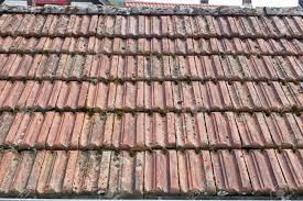 We did not find results for: Old Terracotta Roof Tiles Close Up Stock Photo Picture And Royalty Free Image Image 71377838