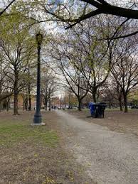 This gorgeous neighborhood park was originally part of a military reserve when toronto was still a small town called york and the british troops were given the colorful neighborhood it's located in (west queen west), it's no surprise that trinity bellwoods has hosted some interesting events. Trinity Bellwoods Park 162 Photos 89 Reviews Parks 155 Crawford Street Toronto On Phone Number