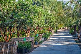 We offer free landscape design consultations at every nursery. Moon Valley Nursery Office Photos Glassdoor