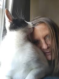 Admiration and affection for cats