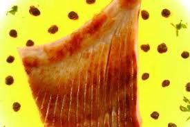 Epingle Sur Receitas