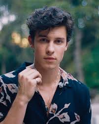 Jul 29, 2021 · wwe summerslam: Free Download Shawn Mendes Images Shawn Mendes Hd Wallpaper And Background 1080x1346 For Your Desktop Mobile Tablet Explore 27 Shawn Mendes 2019 Wallpapers Shawn Mendes 2019 Wallpapers Shawn Mendes