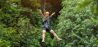 Check spelling or type a new query. New York City Day Trip Hunter Mountain Zipline Shermanstravel
