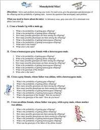 Monohybrid Mice Monohybrid Genetics Problems Punnett Squares Genetics This Or That Questions