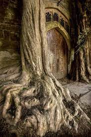 We did not find results for: Robert Macfarlane On Twitter Now That S What I Call An Entrance Two Yew Trees Growing Either Side Of The North Door Of The Medieval St Edward S Church In Stow On The Wold Gloucestershire England Photo