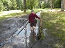 Walking In Mud Trentham Gardens Walking In Nature Beautiful Places In The World Stoke On Trent