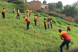 Contact us today for more information on our tree trimming service, tree pruning, tree and trimming cost. Dpdhl News On Twitter Dhl Express Rwanda Volunteers Cutting Grass Trimming Bushes Along Roads Near Kigali Gvd16 Https T Co Tjjgp5iest Https T Co Gnub8n4blr