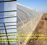 Passive Solar Greenhouses | Purdue University Vegetable ...