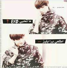 اكسو اكسو ال and exo image exo funny kpop funny arabic funny