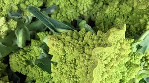 Planting romanesco broccoli is a great way of providing variety in your family's diet. How To Cook Romanesco Bon Appetit Bon Appetit