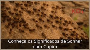 Sonhar com Cupim: Conheça os Significados!