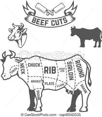 Beef Cuts Butcher Diagram Cow Illustrations On White Background Design Elements For Poster Menu Vector Illustration