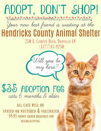 We are based in lafayette, indiana. Adoption Event Hendricks County In