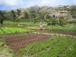 Resultado de imagen de agricultura de subsistencia
