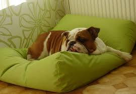 Just machine wash when muddy. Dog Bed Lime Dog Beds By Dog S Companion