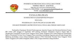 Calon peserta dapat mengikuti pendaftaran seleksi calon pegawai negeri sipil (cpns) di kemenlu tahun ini. Resmi Pengumuman Lowongan Cpns Pemprov Ntt 2019 507 Formasi