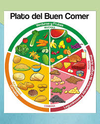 El plato del bien comer forma parte de la norma oficial mexicana para la promoción y educación para la salud en materia alimentaria, la cual da los criterios para la orientación alimentaria. Illustration Ilustracion Plato Del Buen Comer On Behance Healthy Food Activities Kids Meals Health Eating