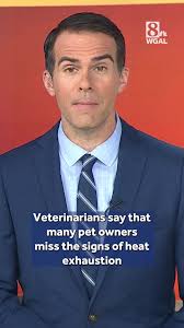 As temperatures rise it’s important to look out for our furry friends. Heat  exhaustion can be easy to miss and could pose a big problem.