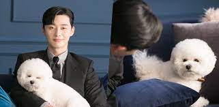 Mv繁中韓字 花郎ost part 9 朴敘俊 박서준 park seo joon 成為彼此的眼淚 서로의 눈물이 되어 our tears. è¾›å·´æ¥æŽ¢çˆ¸çˆ¸ç­ æœ´å™ä¿Šçˆ±çŠ¬æ¥æ‹æ'„çŽ°åœºæŽ¢ç­ äº'åŠ¨èµ·æ¥è¶…æœ‰çˆ±å•Š Ksd éŸ©æ˜Ÿç½' æ˜Žæ˜Ÿ