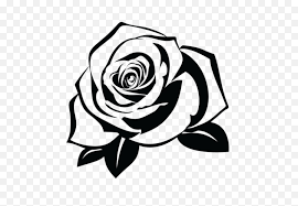 While you might look at the black rose tattoo and thing it only represents the darker side of life, this isn't necessarily true. Download Rose Tattoo Png Pic Black And White Rose Clipart Rose Tattoo Png Free Transparent Png Images Pngaaa Com