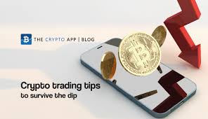 Therefore, you need to have a clear objective in place before entering a trade. Crypto Trading Tips To Survive The Dip The Crypto App