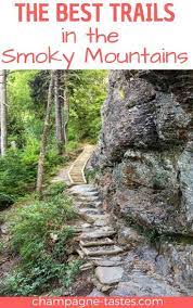 The Best Trails In The Smokies Smokey Mountains Vacation Smokey Mountains National Park Smoky Mountains Hiking