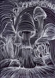 Black And White Mushroom Pin On Artwork