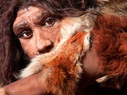 Verändert sich · veränderte sich · hat sich verändert. Wie Die Gene Der Neandertaler Uns Heutige Menschen Pragen