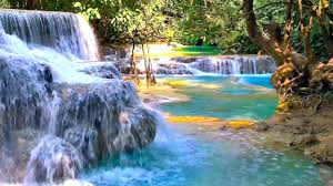 Waterfall Jungle Sounds 2 Relaxing Tropical Rainforest Nature Sounds Jungle Sounds Nature Sounds Waterfall