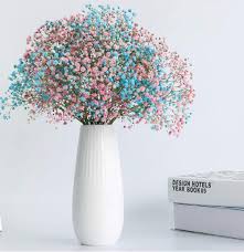 Check spelling or type a new query. Buy Tooget Natural Dried Flowers Gypsophila Baby S Breath Bouquet Bundles Floral Full Stars Dry Flower Bunch Arrangements Decorate For Home Crafts Party Wedding Store Online At Low Prices In India Amazon In