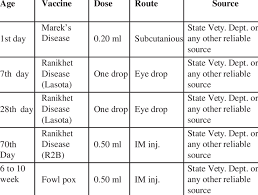 Vaccination Schedule Of Backyard Chicken Download Table