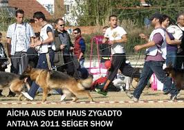Argos Bursa Kopek Egitim Merkezi Home Facebook