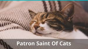 Christopher stasheff has several stories based on the fictional patron saint of engineers, st. Is There A Patron Saint Of Cats Who Is It